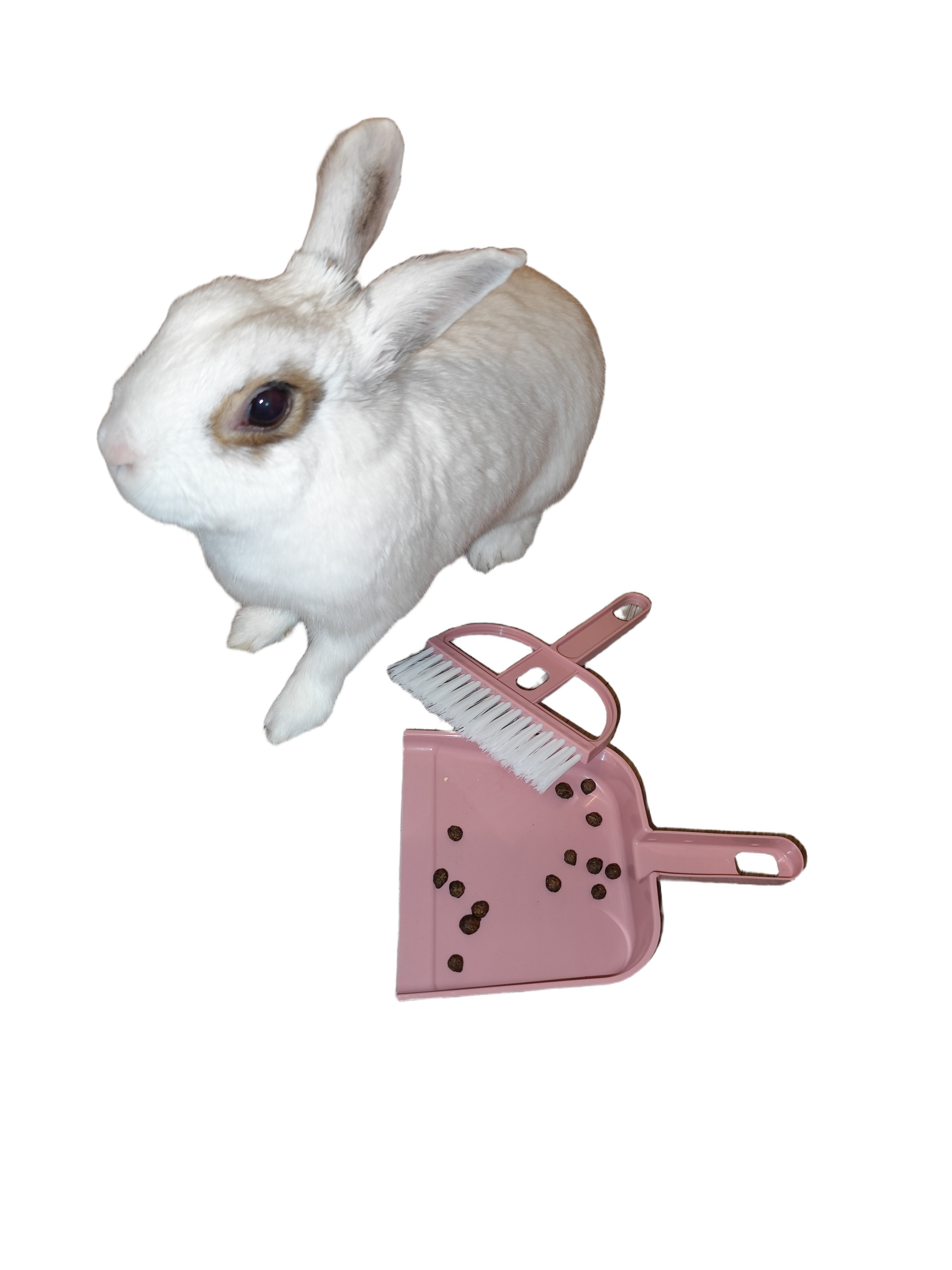 Mini smetáček s lopatkou