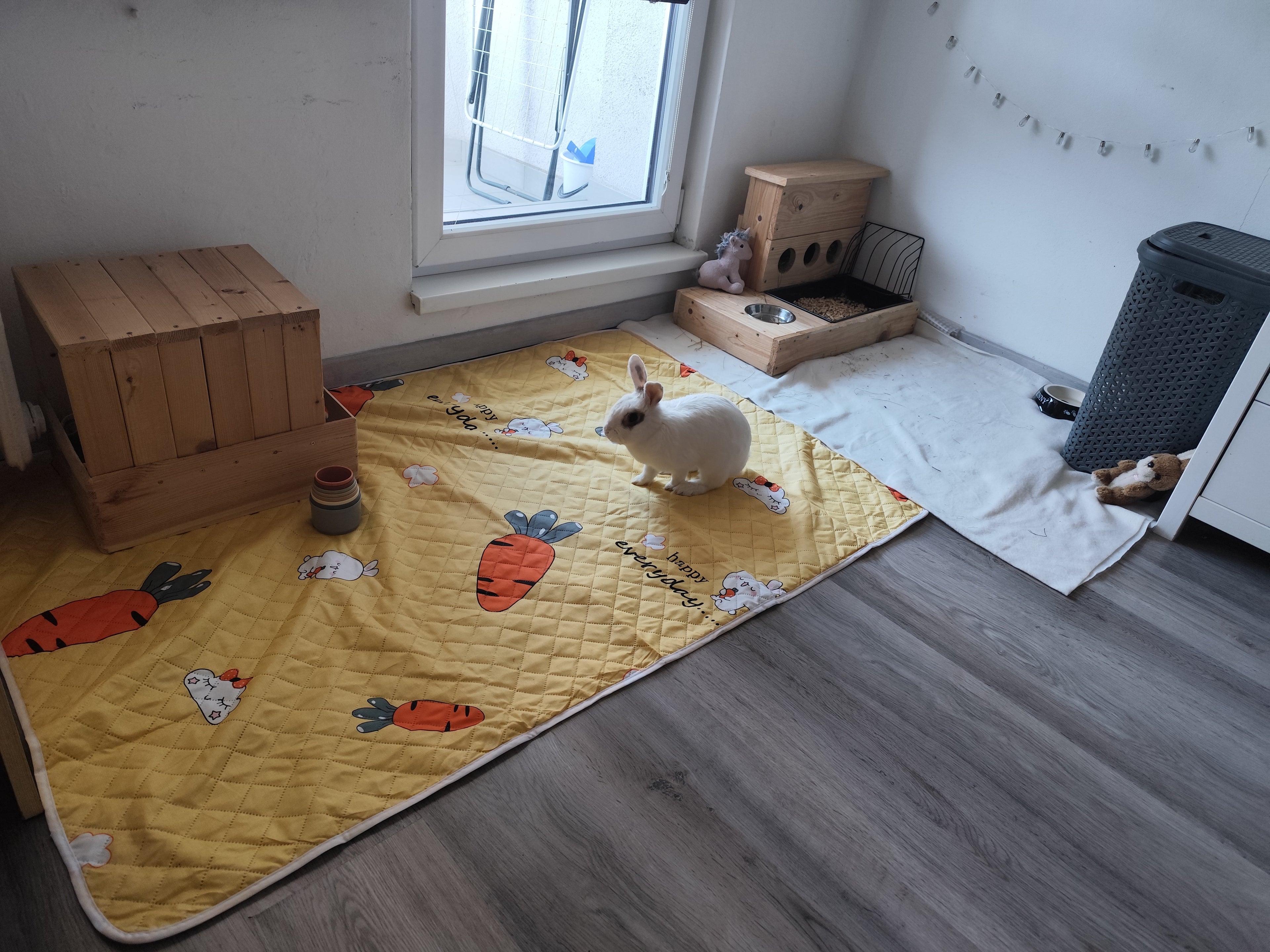 Podložka pro králíky a morčata s mrkvičkami