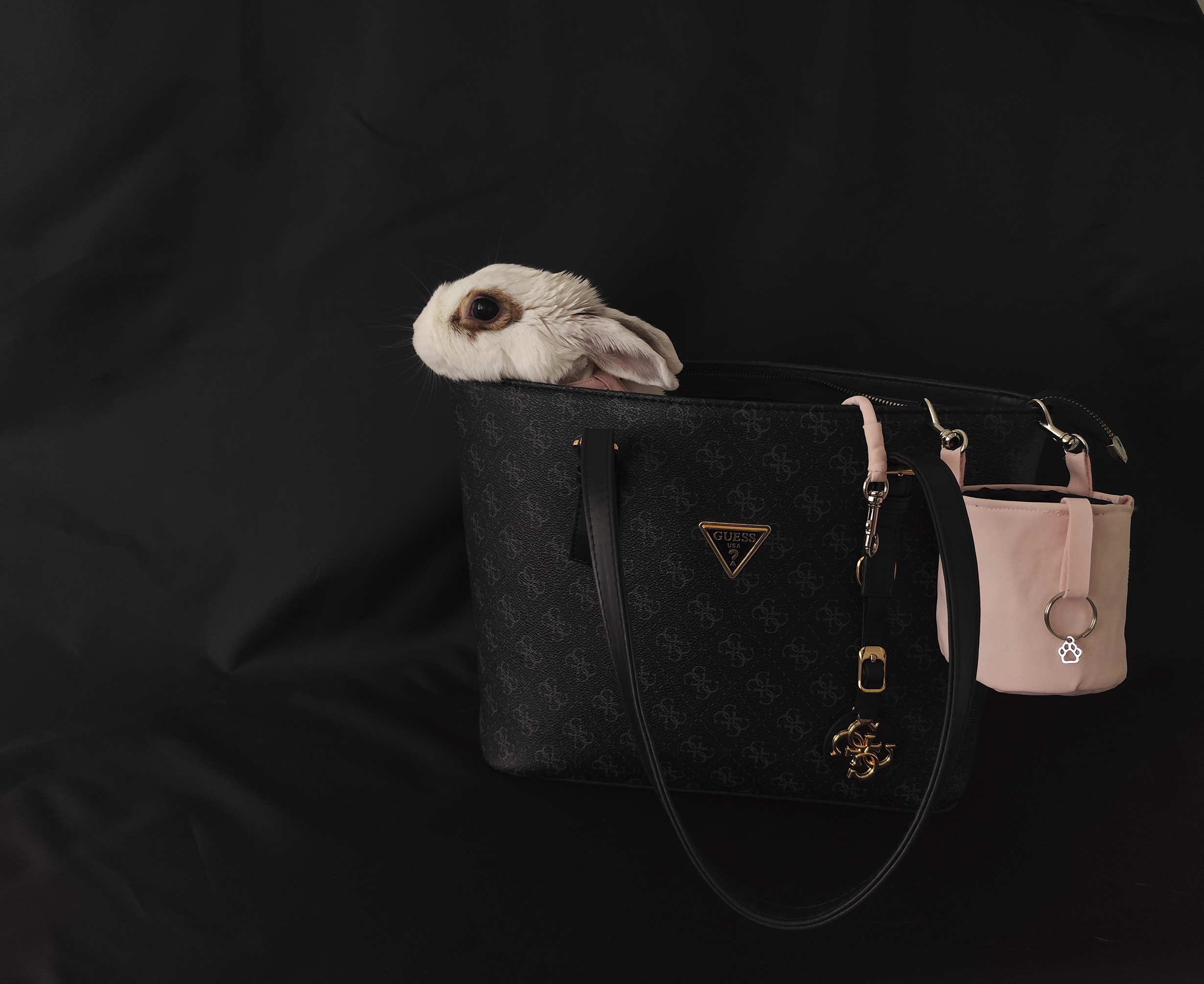 Pamlskovník - Pastel Pink