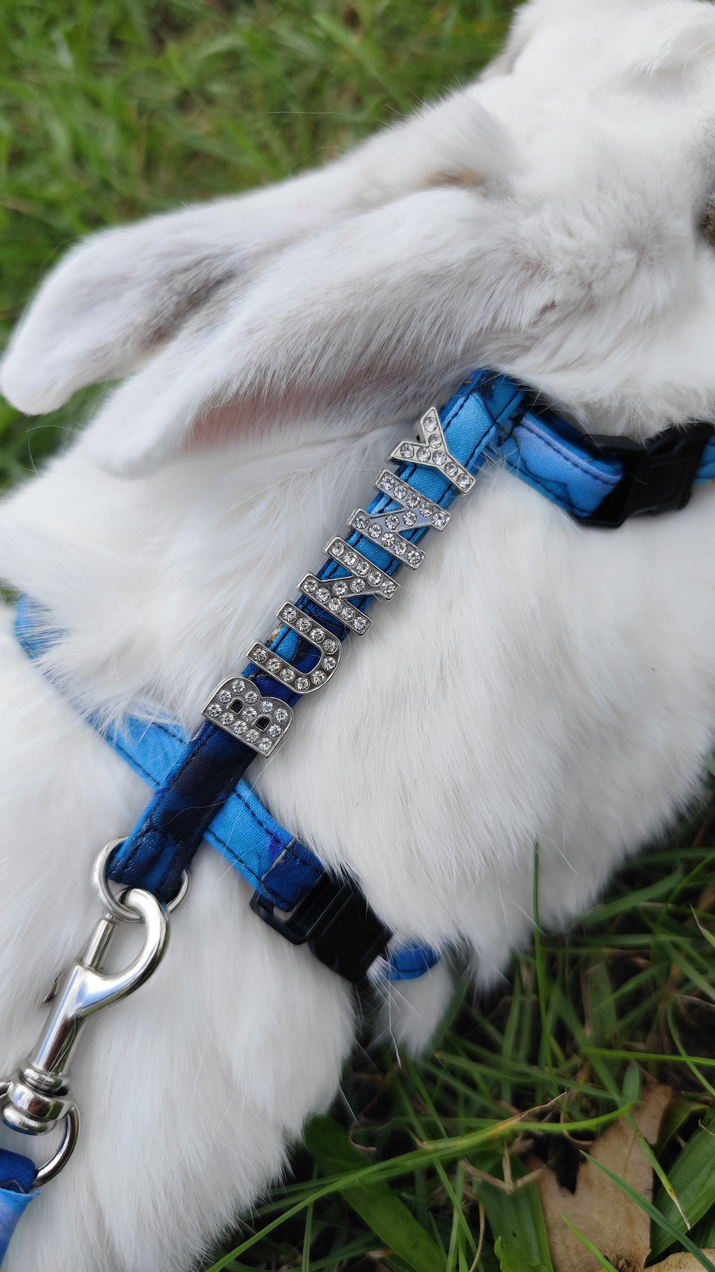 Postroj se jménem pro králíky - Turquoise