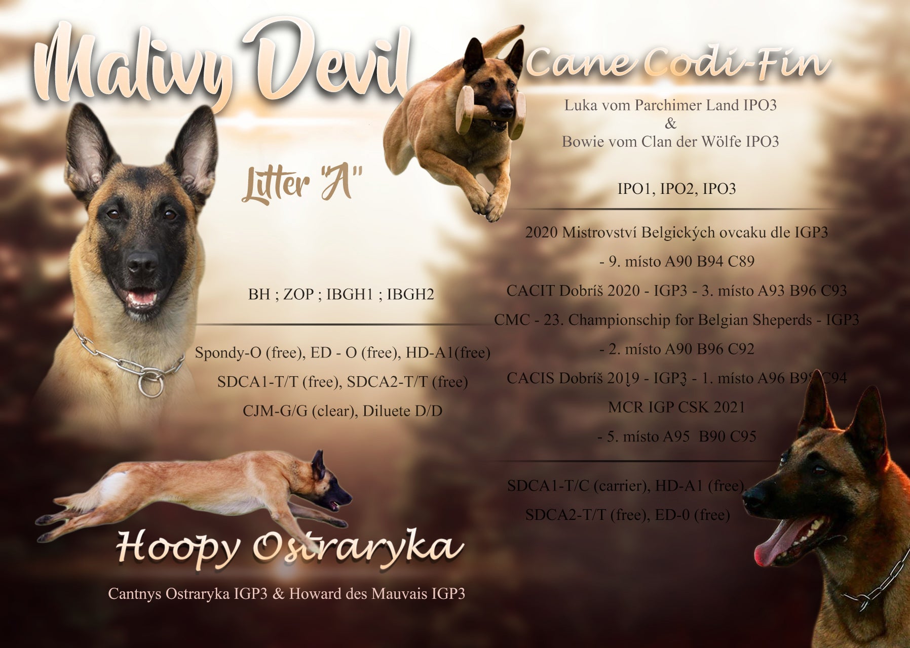 Letáky pro chovatelské stanice