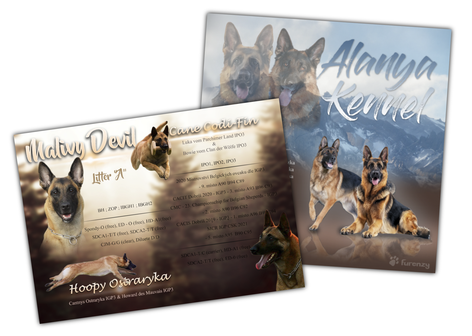 Letáky pro chovatelské stanice