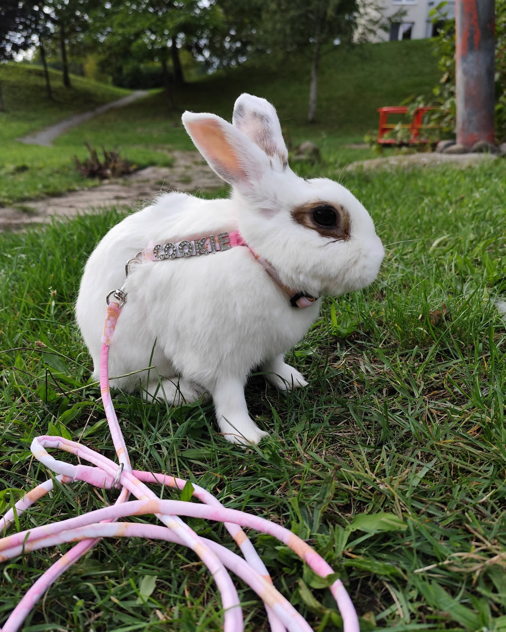 Postroj se jménem pro králíky - Pink Marble