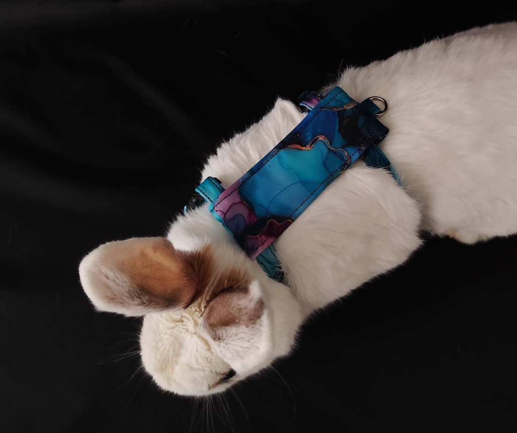 Postroj pro králíky Wide - Turquoise